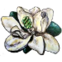 Green Light New Orleans