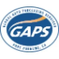 Global Auto Processing Services, Inc.