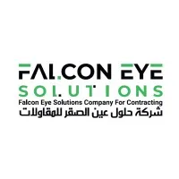 Falcon Eye Solutions company