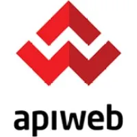 APIWEB LLC