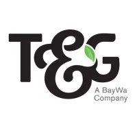T&G Global Limited
