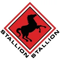 Stallion Group