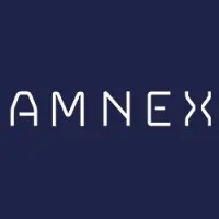 Amnex Infotechnologies