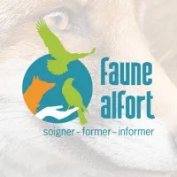 FAUNE ALFORT