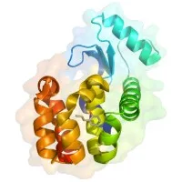 The Red-Green Research Centre