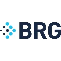 Berkeley Research Group LLC