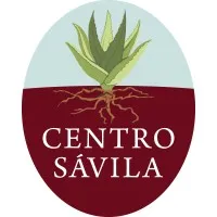 CENTRO SAVILA LLC