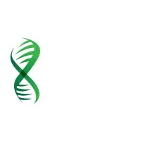 Auckland Clinical Studies