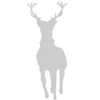 Silverlight Research Expert Network