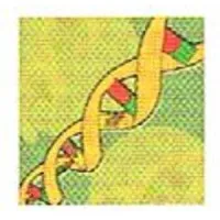 Endocrinology & Diabetes Associates