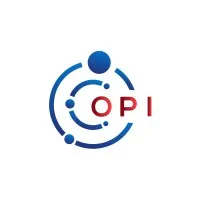 PT Oenggul Pipa Inspeksitama