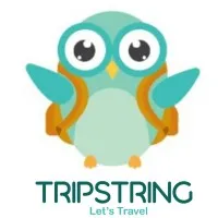 Trip String