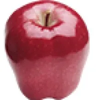 Hamilton High School