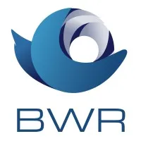 BWR_MEX