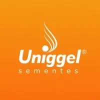 Uniggel Sementes
