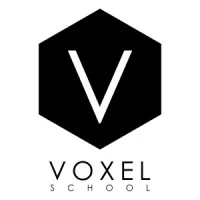 Voxel School