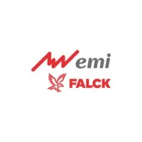 Grupo Emi