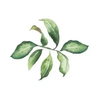 Charise Montenegro Photography