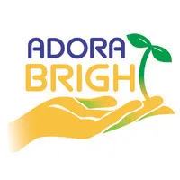 Adora Bright Pediatric Therapy Services