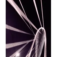 Palter Stokley Sims, PLLC