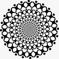 VyavaHR DoMS IIT Roorkee