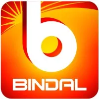 Valley Iron & Steel Company Limited