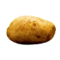 Potato
