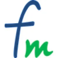 FINMECHANICS