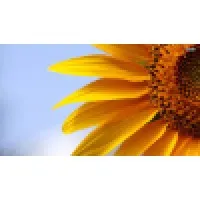 New Dawn Memory Care