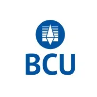 BCU Financial Group