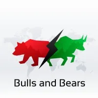Bulls and Bears PDPU