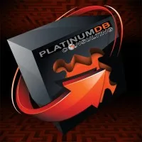 Platinum DB Consulting, Inc.