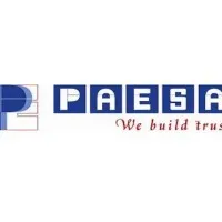 PT Paesa Pasindo Engineering