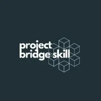 Project Bridge Skill