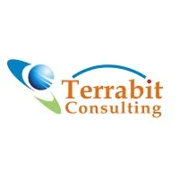 Terrabit Consulting