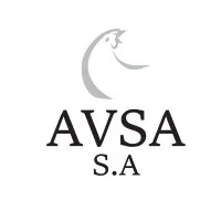 AVSA S.A.