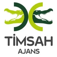 Timsah Ajans