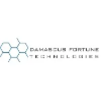 Damascus Fortune Technologies