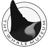 The Whale Museum