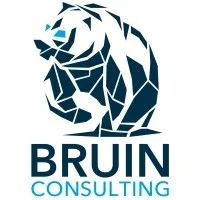 Bruin Consulting