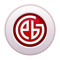 PROFESSIONAL BOARD GROUP