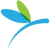 DragonFly Information Technology Solutions, Inc.