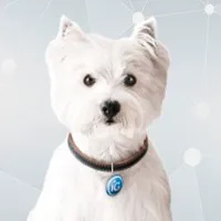 iG - Publicidade e Conteúdo LTDA