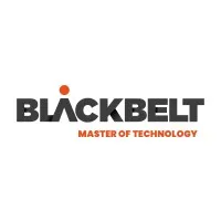 BlackBelt Technology Kft.