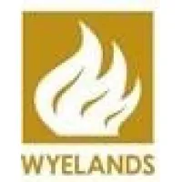 WYELANDS CAPITAL LTD