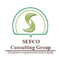 SEFCO Consulting Group