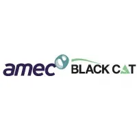AMEC Black Cat LLC