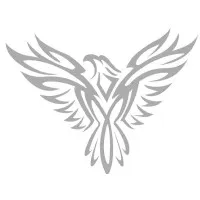 Snowbird Finance Ltd