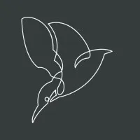 Kingfisher Professional Services Ltd