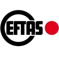 EFTAS Fernerkundung Technologietransfer GmbH